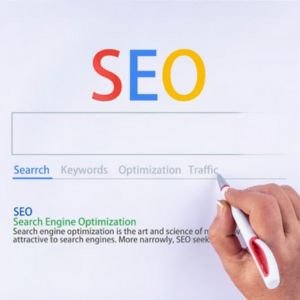 seo company in dehradun
